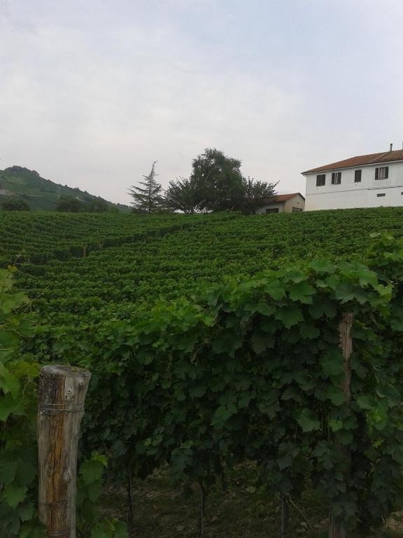 Agriturismo Ai Piacentini Santo Stefano Belbo Exterior foto